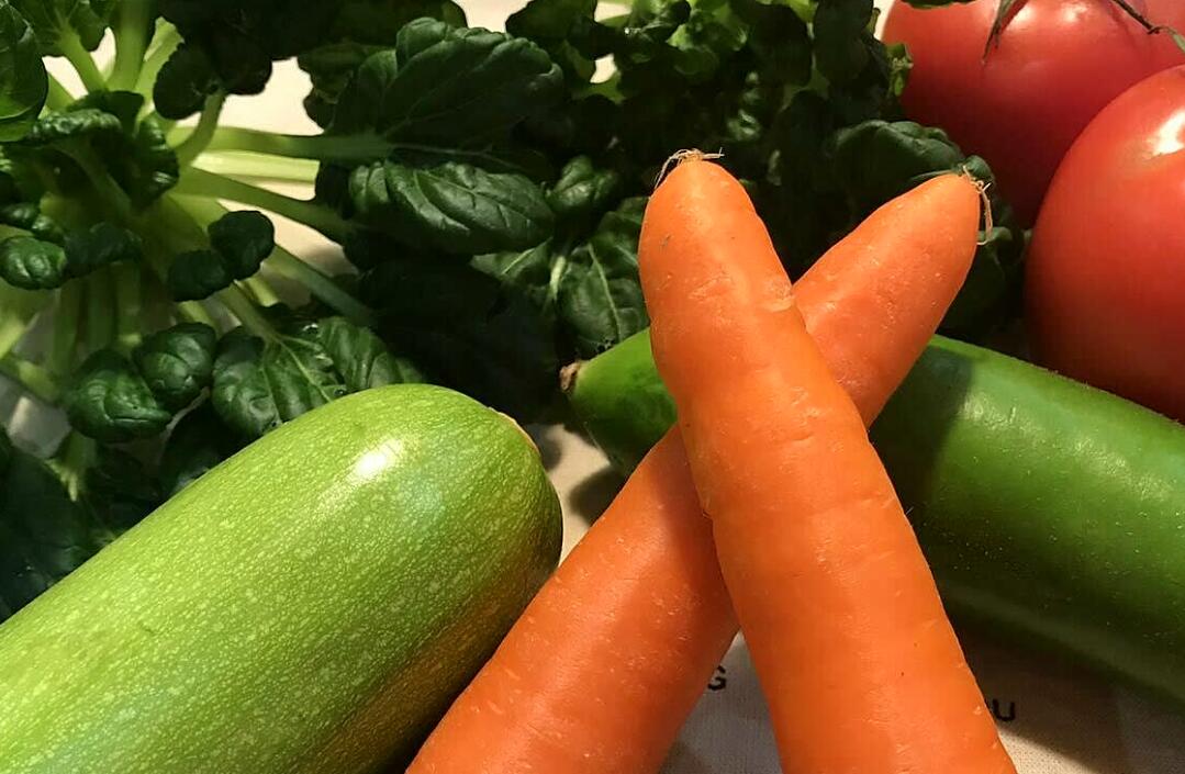 浙江省2023年绿色食品生产关键技术集成项目中期评估会在杭召开