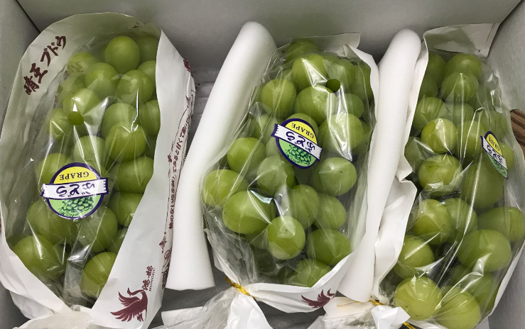 冷庫(kù)安全：農(nóng)產(chǎn)品保鮮鏈上的生命線