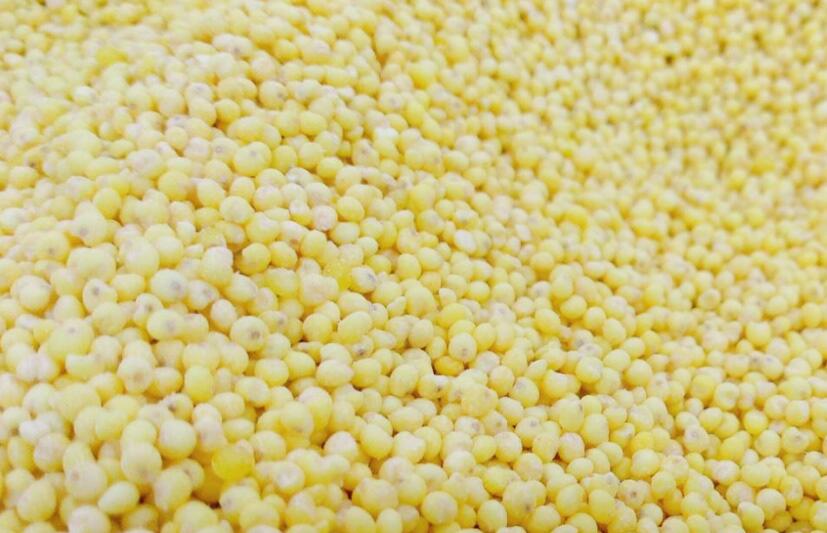 湖北省糧食局關(guān)于進(jìn)一步推進(jìn)綠色儲糧工作的指導(dǎo)意見