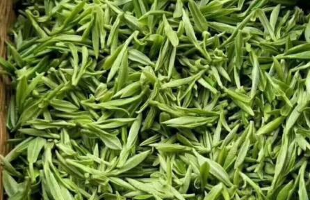 全鏈謀項(xiàng)目，全員抓項(xiàng)目 | 2026年，金華茶產(chǎn)業(yè)這樣干