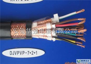 计算机电缆DJYPVP-9*2*1.5