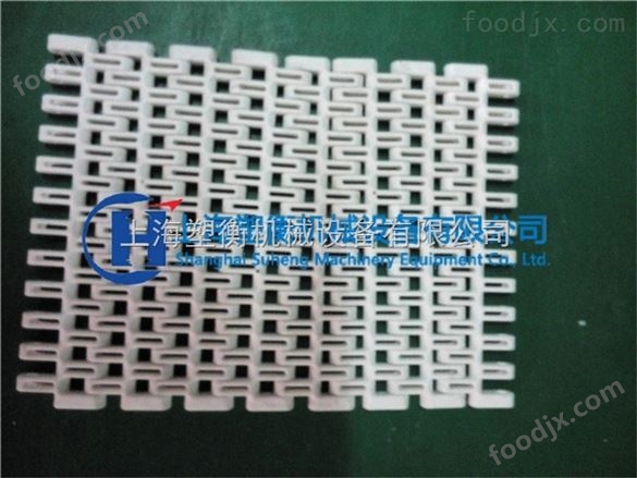 SNBM2塑料網(wǎng)帶 塑料網(wǎng)帶廠家