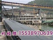 江蘇蘇州港口輸送機廠家 設(shè)備標準化 礦山式皮帶輸送機