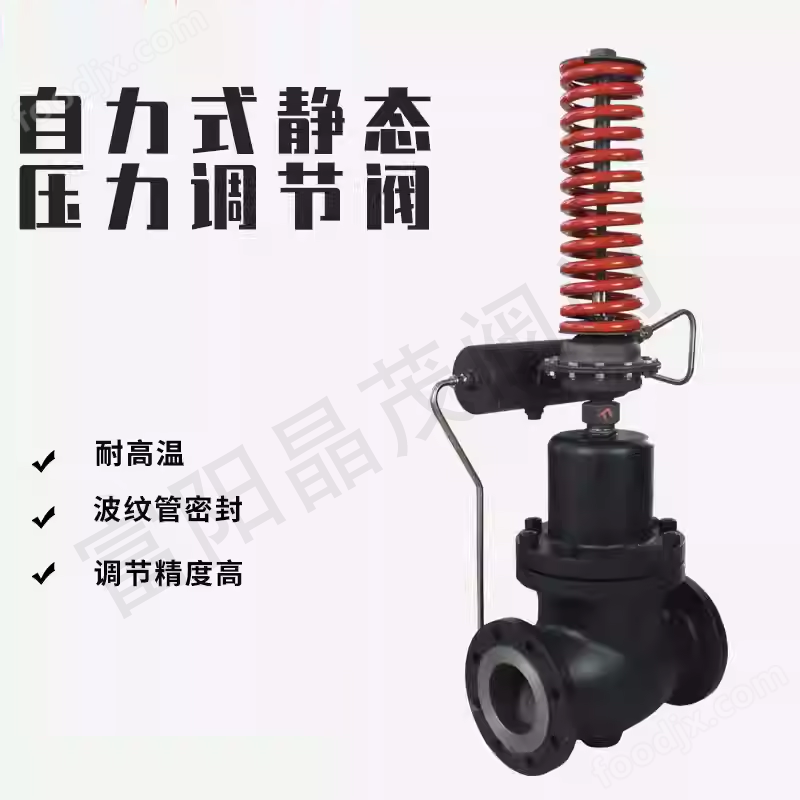 V230/231自力式壓力調節閥