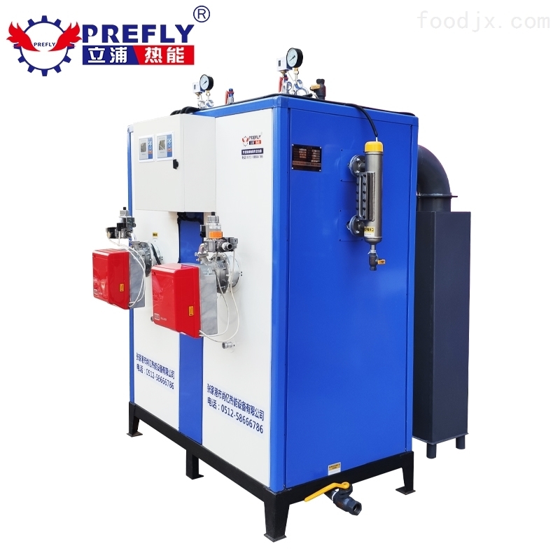 燃?xì)庹羝l(fā)生器