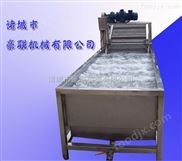 HLXQ-4000優(yōu)質(zhì)不銹鋼式蔬菜清洗機 蔬菜清洗機