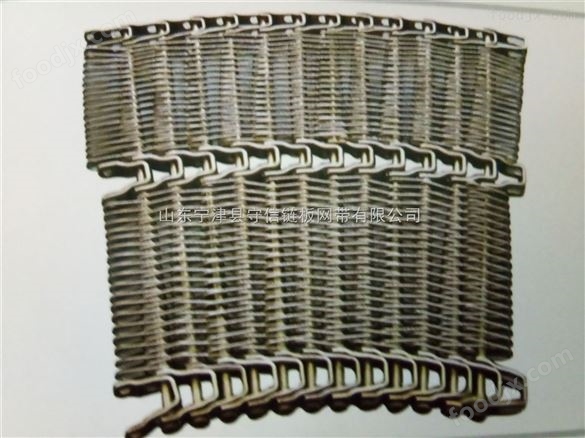 守信WD-06鏈條式網(wǎng)帶-鏈條傳動(dòng)-網(wǎng)面受力均勻 水平膠帶輸送機(jī)