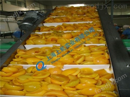 塑料网带输送机 提升网带输送机