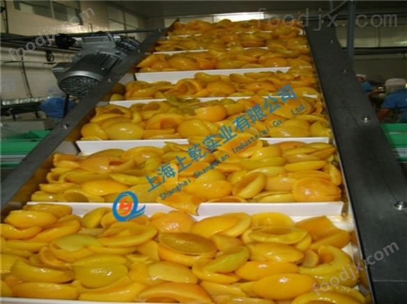 塑料網(wǎng)帶輸送機(jī) 提升網(wǎng)帶輸送機(jī)