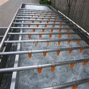 直銷氣泡翻浪蔬菜清洗機(jī)黨參清洗機(jī)鮮菜蔬菜加工生產(chǎn)線貢菜清洗機(jī)