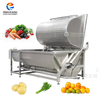 凤翔 翻转式果蔬清洗机